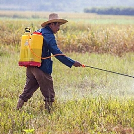 買到農藥蔬菜?四大原則教你遠離農藥蔬果!